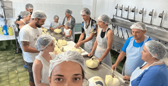 Menorca: Farm Tour, Cheese Making Workshop & Local Tasting