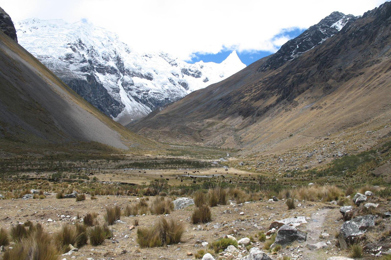 Huaraz: 8-Day Alpamayo Hiking Expedition