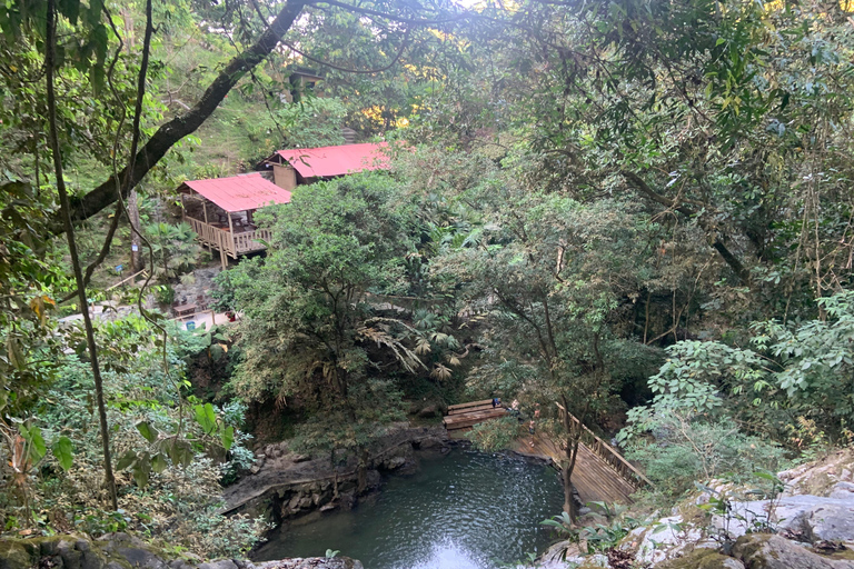 Minca: Varietals Coffee Taste & Marinka Waterfall