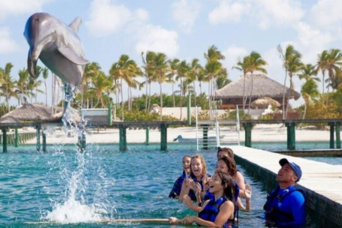 Punta Cana: Dolphin Explorer Program