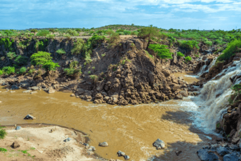 Addis Ababa: 3 Days Awash National park Safari Tour