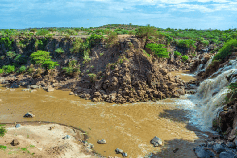 Addis Ababa: 3 Days Awash National park Safari Tour