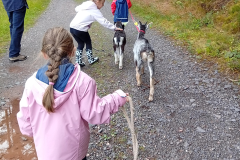 Luvigny: an unusual getaway with donkeys and goats