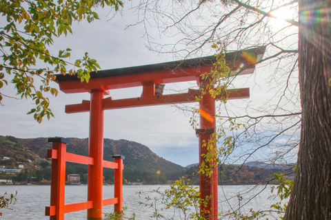 Tokyo: Mount Fuji And Hakone Private Tour Full Customizable