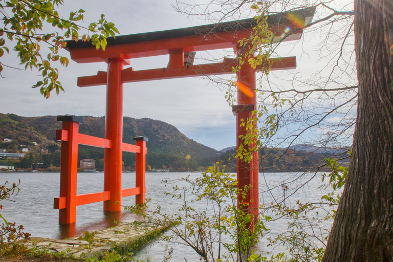 Tokyo: Mount Fuji And Hakone Private Tour Full Customizable