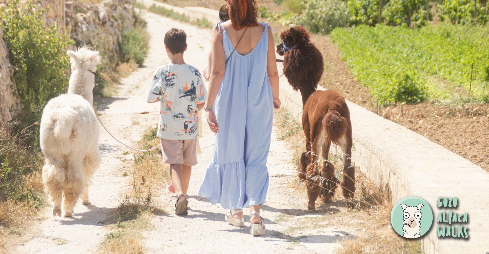 Gozo, Farm Visit with Alpaca Walk and Feeding - Housity