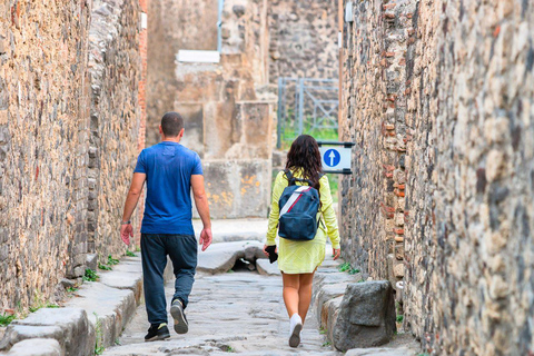 Naples/Salerno Port: Discover the Pompeii Archeological Site Naples port: Regular Grp - French