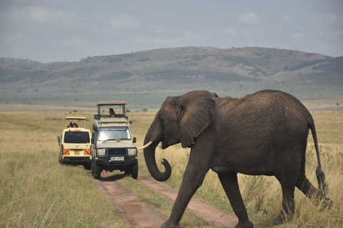 7-dniowe safari Kili Safari Amboseli, Naivasha i Masai Mara