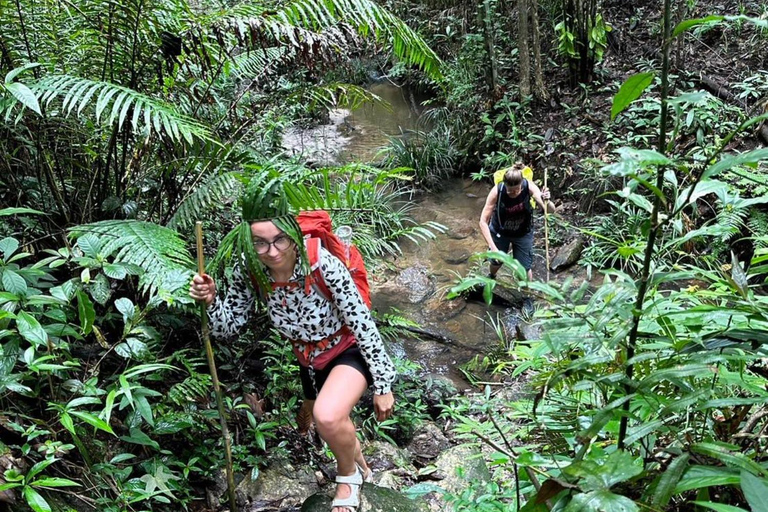 Chiang Mai: 2-Days Jungle Trek, Waterfalls and Karen Village