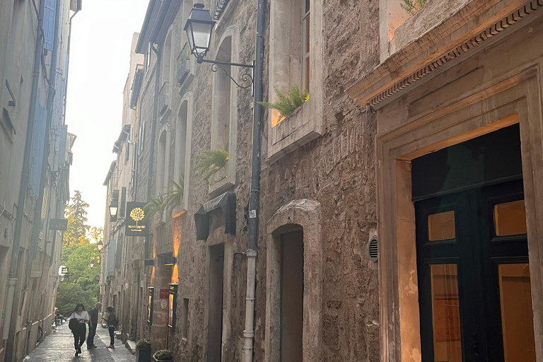Montpellier: Private Walking Tour with Licensed Guide