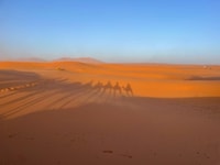 Marrakech naar FES 3 Days Sahara Tour via Merzouga Desert - Housity