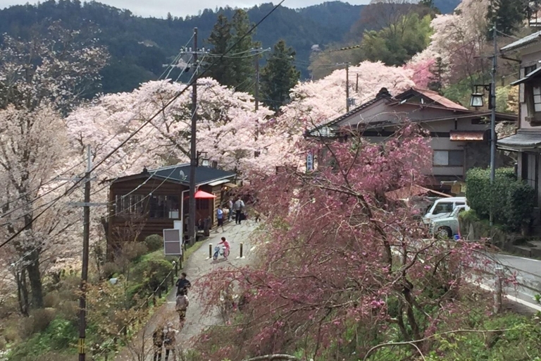 Yoshino: Prywatna wycieczka z przewodnikiem i wędrówka po japońskiej górzeYoshino: Całodniowa prywatna wycieczka z przewodnikiem po japońskich górach
