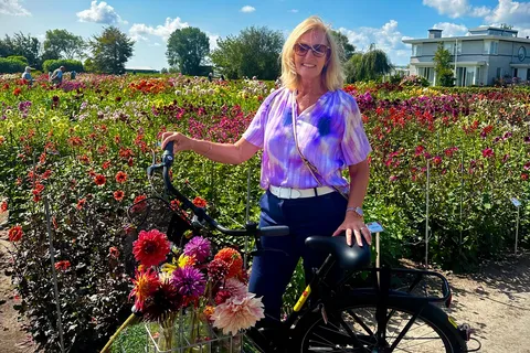 Bulb region: Dahlias Bicycle Tour