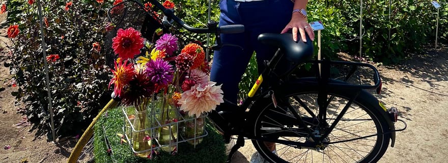 Région des bulbes : Tour cycliste des dahlias