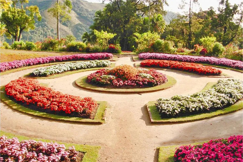 Ella To Nuwara Eliya Transfer with Temples, Gardens & Lake