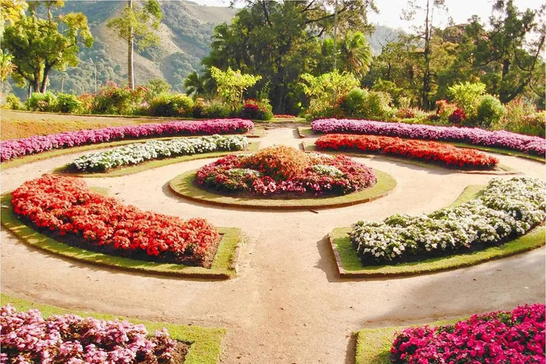 Ella To Nuwara Eliya Transfer with Temples, Gardens & Lake