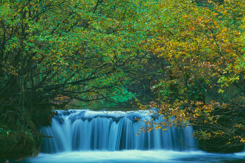 From Zadar: Plitvice Lakes Guided Day Tour and Boat Ride From Zadar: Plitvice Lakes Day Tour, Simply and Safe Tour