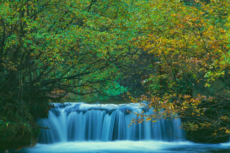 From Zadar: Plitvice Lakes Guided Day Tour and Boat Ride From Zadar: Plitvice Lakes Day Tour, Simply and Safe Tour