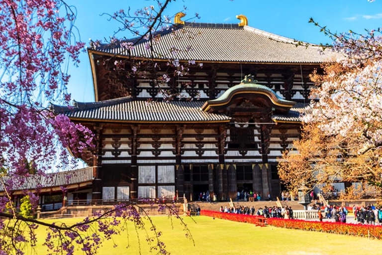 Osaka: Nara, Todaiji, Matcha Experience and Hot Spring Tour