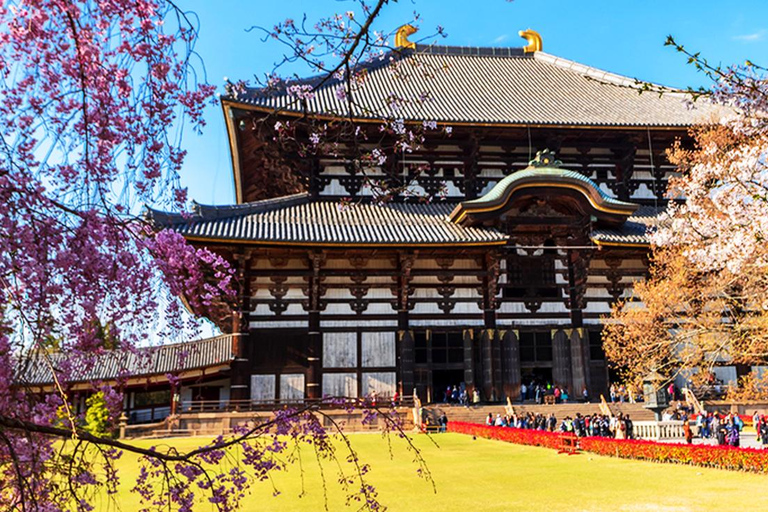 Osaka: Nara, Todaiji, Matcha Experience and Hot Spring Tour