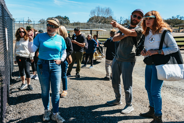 Alpine: visita e alimentação do Santuário de Tigres e Ursos do LionsAlpine: Excursão e alimentação do Santuário de Leões, Tigres e Ursos