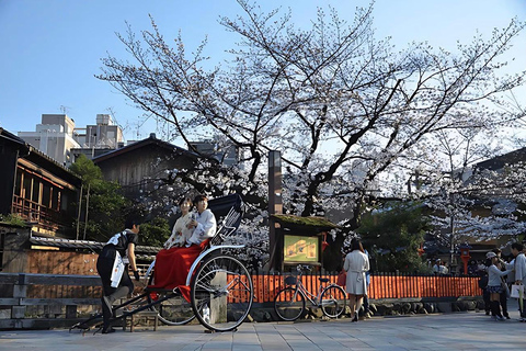 Kyoto Private Full-Day Guided Tour with customised itinerary