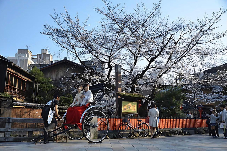 Kyoto Private Full-Day Guided Tour with customised itinerary