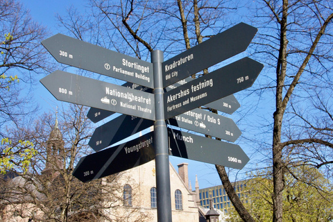 Oslo: From Fjord to Palace Walking Tour