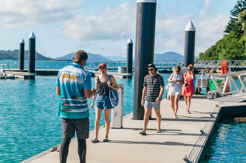 Whitsundays Ocean Rafting Tour Snorkel Walk Whitehaven GetYourGuide