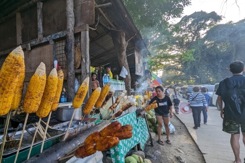 Visite d'une demi-journée de la ville de Cebu et du jardin de Sirao