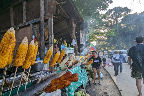 Visite d'une demi-journée de la ville de Cebu et du jardin de Sirao