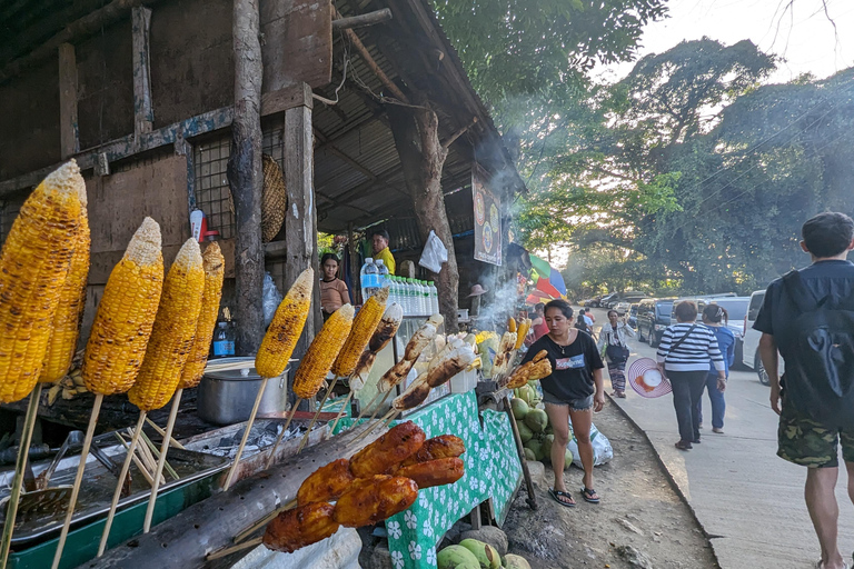 Cebu Stad met Sirao Tuin Halve Dag Tour