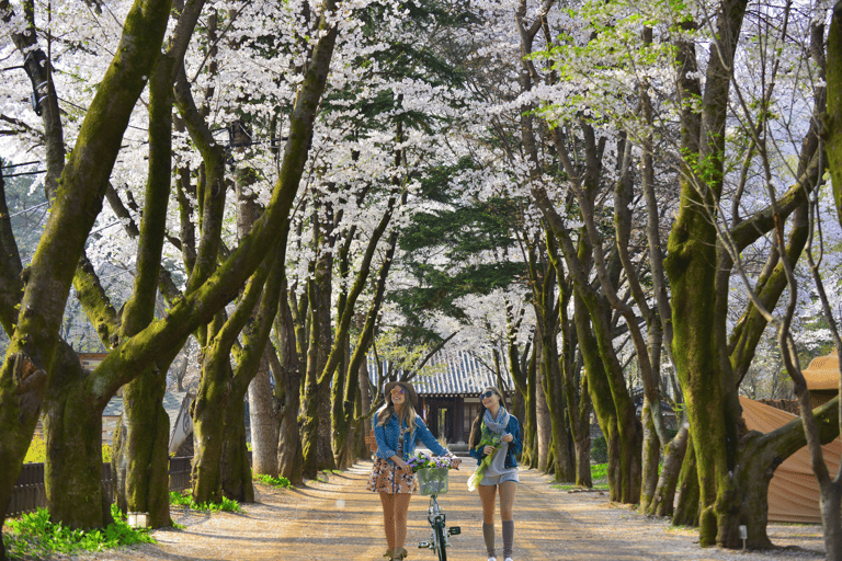 Seoul: Tour di Nami e della Petite France con K-Garden opzionale