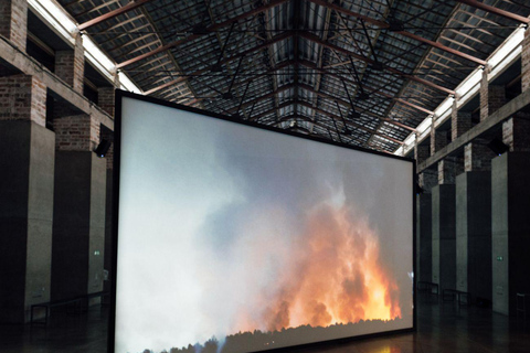 Medellin: Access Ticket to the Museum of Modern Art of Medellin