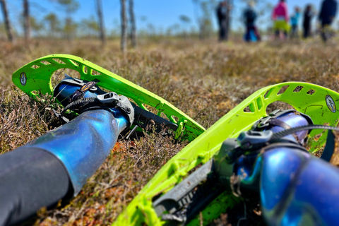 Ķemeri Bogs Adventure: Explore Wetlands In Bog Shoes