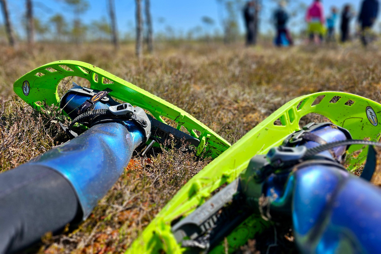 Ķemeri Bogs Adventure: Explore Wetlands In Bog Shoes