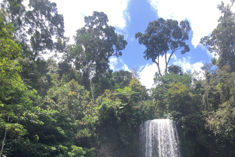 Da Cairns: Escursione di un giorno alle Tablelands di Atherton e al Parco di Paronella