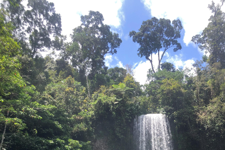 From Cairns: Atherton Tablelands and Paronella Park Day Trip