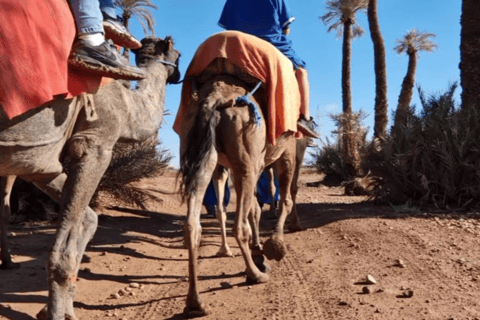 Marakesz: Palmeraie Camel Ride i tradycyjne spa marokańskie