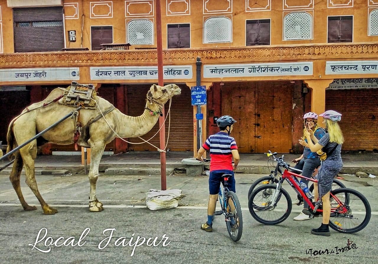 Jaipur: 3-stündige Fahrradtour durch die Altstadt von Jaipur am Morgen