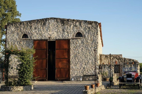 Luxury Experience in Carmelo: Wine and Food Tasting in Narbona Luxury Experience in Carmelo: Wines and Food Tasting in Narbonne