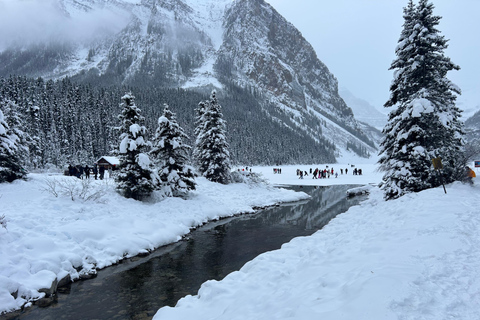 Banff/Calgary: Tour privado de los Parques Nacionales de Banff y YohoDesde Calgary