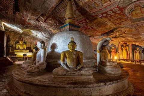 Sigiriya: excursão de um dia ao templo da caverna de Dambulla saindo de Colombo