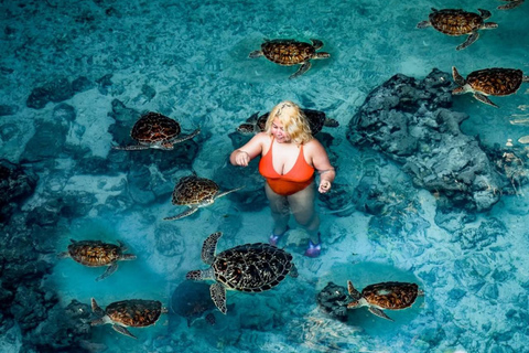 Zanzibar: Jozani forest, Sea tortoises & Mtende beach tour Private tour no Hotel pick and drop off included