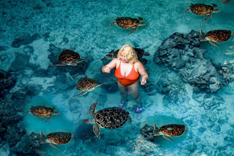 Zanzibar: Jozani forest, Sea tortoises & Mtende beach tour Private tour no Hotel pick and drop off included