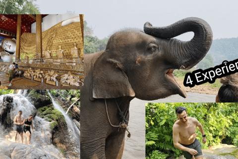 4 Experiences: Elephants, Sticky waterfalls, Market &amp; templeElephants: Sticky waterfalls: Local Market: Wat Banden