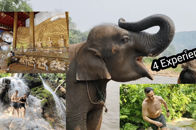 4 Experiences: Elephants, Sticky waterfalls, Market &amp; templeElephants: Sticky waterfalls: Local Market: Wat Banden