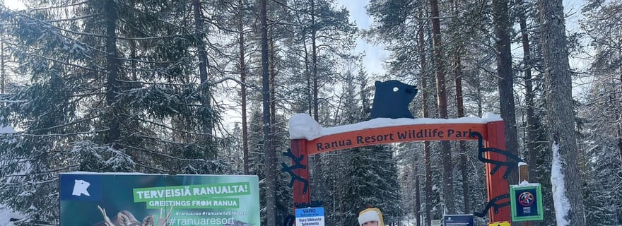 Visite guidée du zoo de Ranua avec déjeuner buffet inclus