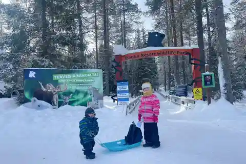 Ranua Wildlife zoo-tur med lunchbuffé ingår