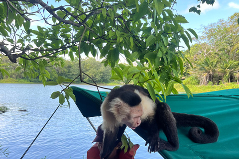 Panamá : Tour en bateau et faune sur le lac Gatun